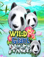 เคล็ดลับพิชิตชัยใน สล็อต ออนไลน์ 123 แบบมือใหม่